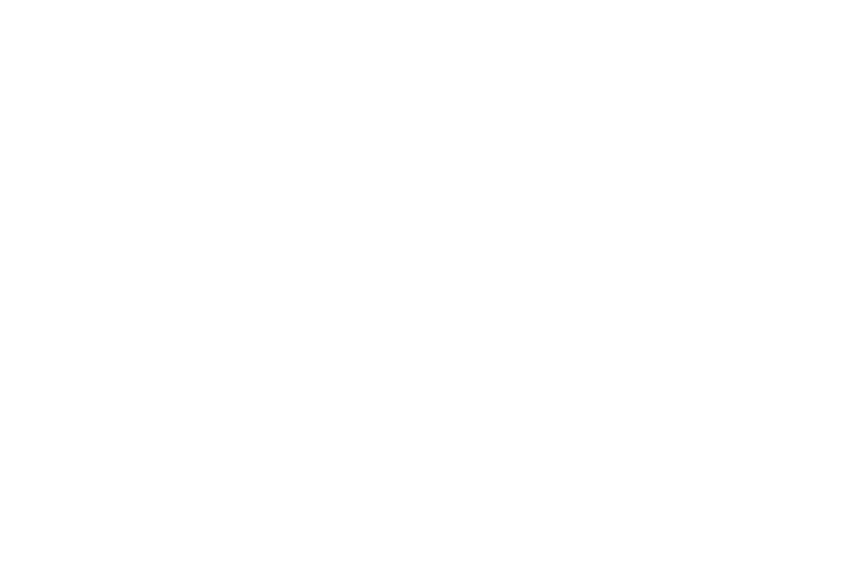 Parallax Image